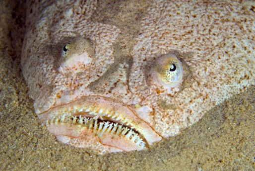 201408040721421059060930