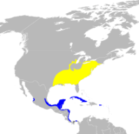 220px-wilsonia_citrina_map-svg