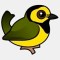 hooded-warbler-copy