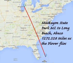 15027859_392958301049767_8409742050501259206_n