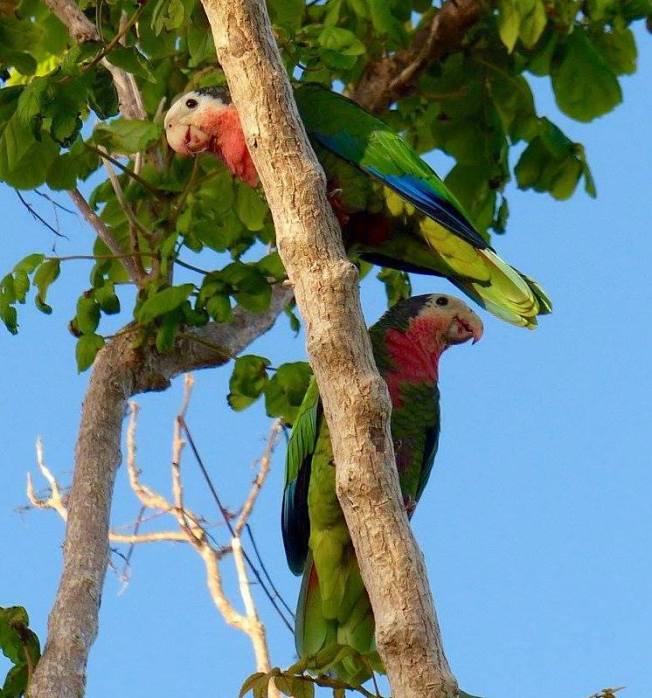 15252697_10211096054868047_2776208768617604065_o