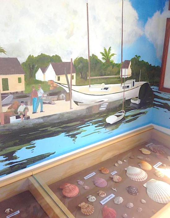 Cherokee Shell Museum, Abaco Bahamas / Gifts from the Sea / Cinder Pinder
