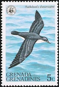 Audubon's Shearwater Stamp) OS