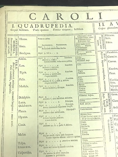 Systema Naturae 1735 - quadrupeds (© KS / Rolling Harbour)