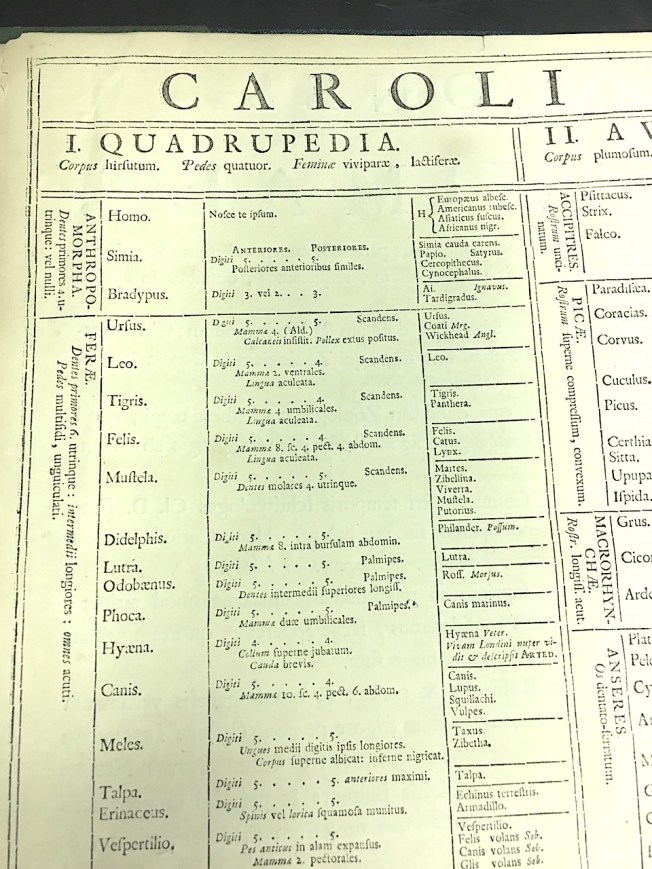 Systema Naturae 1735 - quadrupeds (© KS / Rolling Harbour)