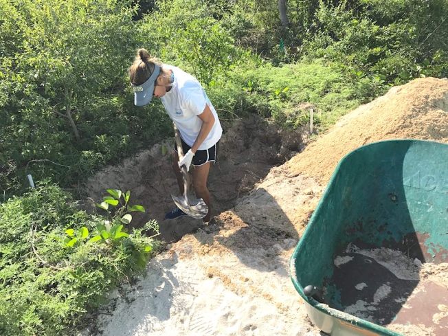 False Killer Whale, Abaco Bahamas (BMMRO)
