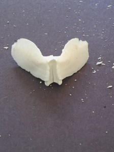 Sea Biscuit 'Doves', Abaco (Melissa Ann Guinness)