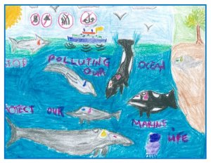 BMMRO children's poster competition winners