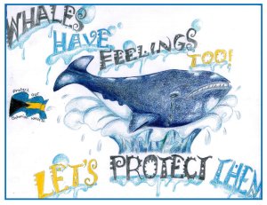 BMMRO children's poster competition winners