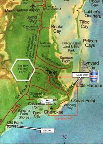 Abaco Map - Little Harbour / Marsh Harbour / Bird Site (KS)