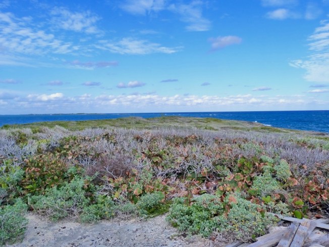 Little Harbour Lighthouse, Abaco Bahamas (Keith Salvesen)