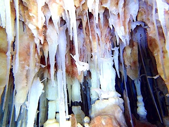 The underground Cave Systems of Abaco Bahamas (Brian Kakuk, Hitoshi Miho)
