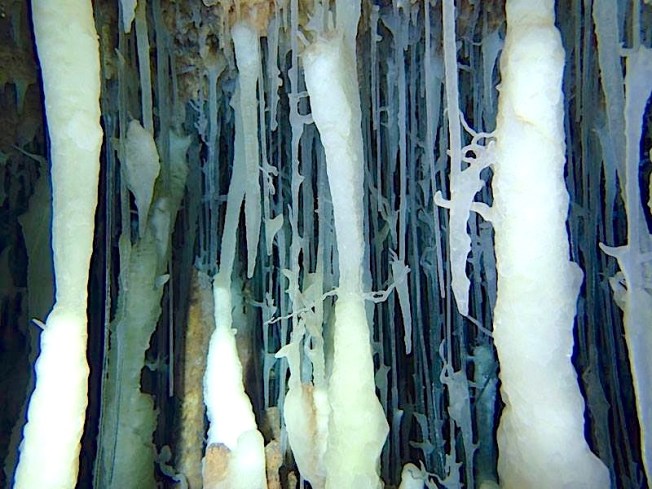 The underground Cave Systems of Abaco Bahamas (Brian Kakuk, Hitoshi Miho)