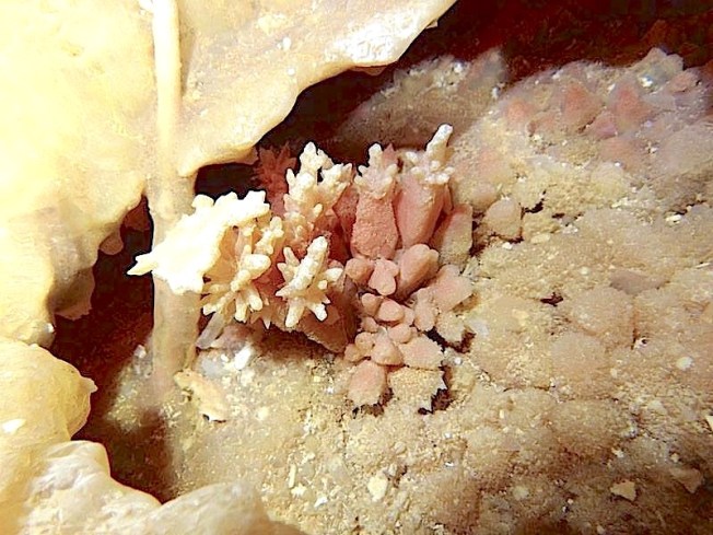 The underground Cave Systems of Abaco Bahamas (Brian Kakuk, Hitoshi Miho)