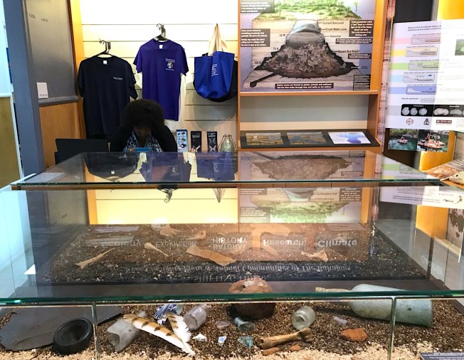 Display cases, Natural History Museum Abaco Bahamas (Keith Salvesen / Abaco Field Office AMMC)