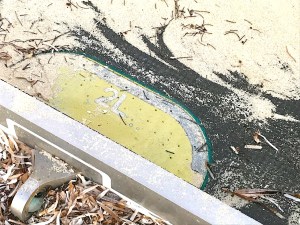 Falcon 9 SpaceX Rocket Debris Sandy Point Abaco Bahamas (Charlotte Dunn / BMMRO)