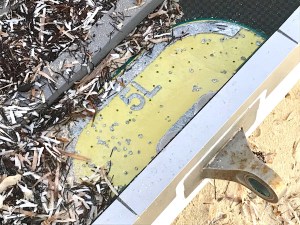 Falcon 9 SpaceX Rocket Debris Sandy Point Abaco Bahamas (Charlotte Dunn / BMMRO)