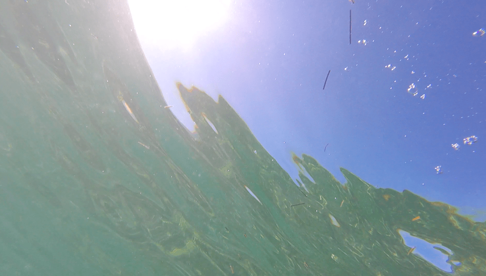 Surface to air: underwater images of Abaco sky (Keith Salvesen)