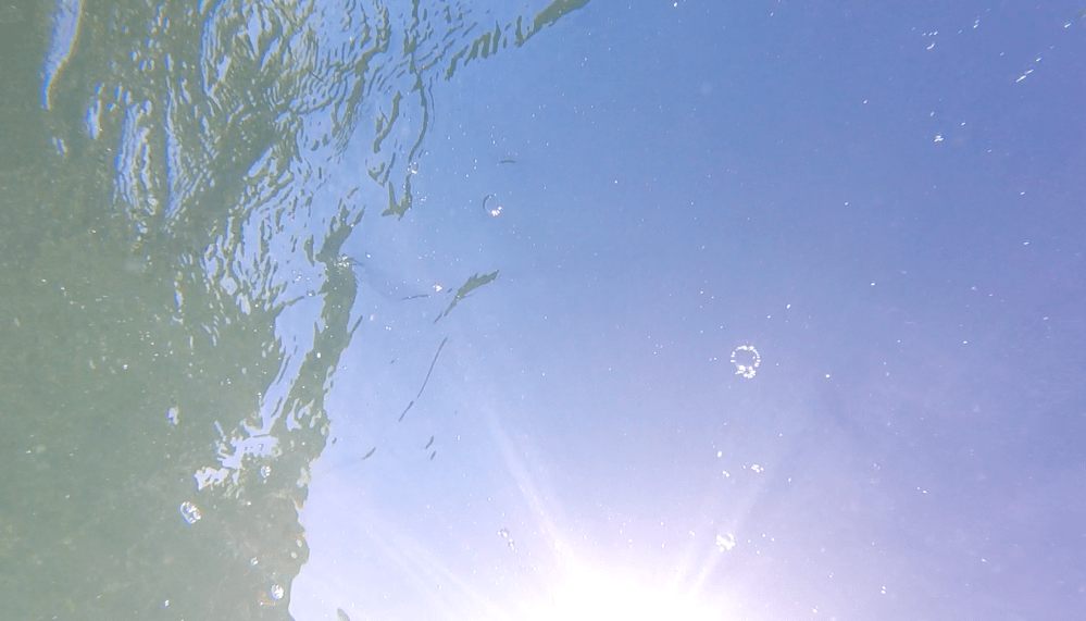 Surface to air: underwater images of Abaco sky (Keith Salvesen)