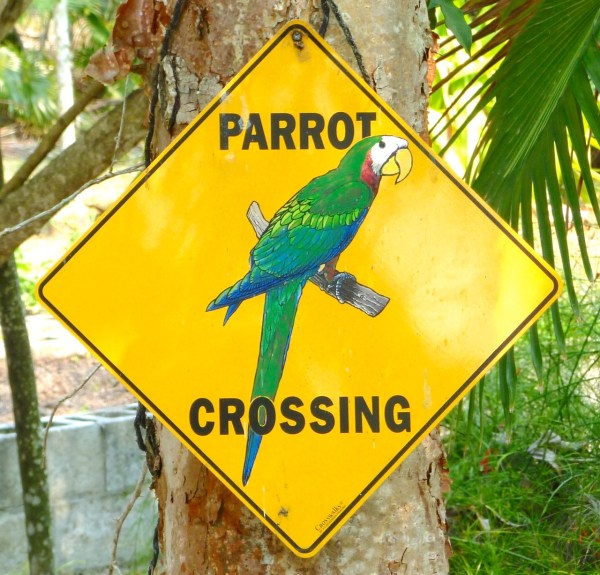 Parrot Crossing sign Abaco Bahamas (Keith Salvesen)