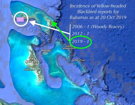 Map: incidence of Yellow-winged Blackbirds in Bahamas