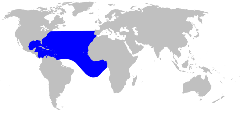 GERVAISE'S BEAKED WHALES RANGE MAP