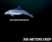 Dolphin dive depth (Neal)