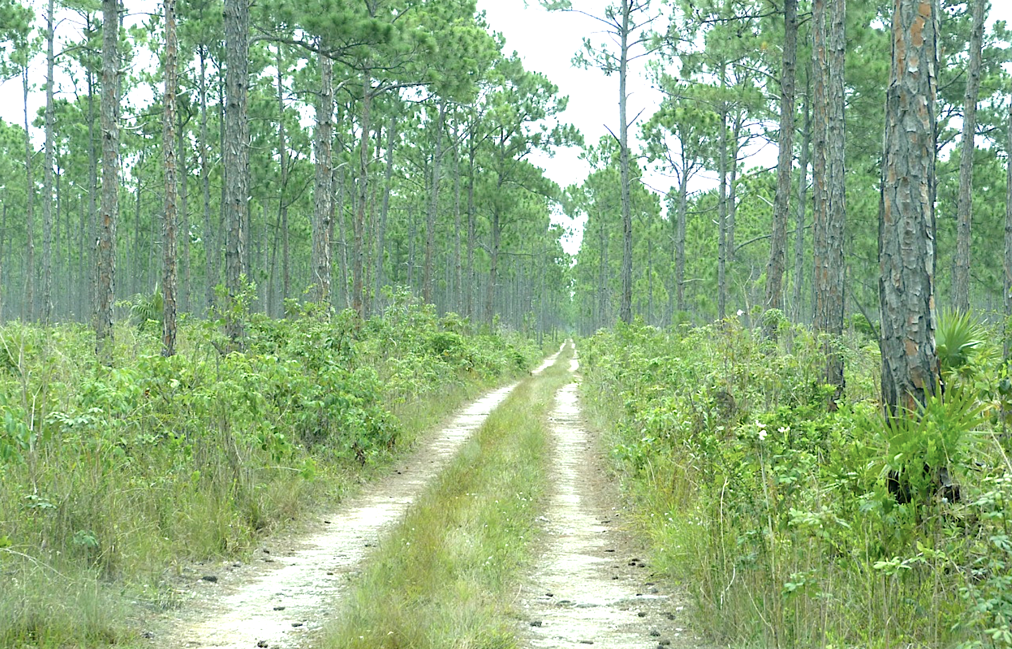 Screenshot 2024-11-16 at 17.15.30